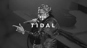 TIDAL: Pros and Cons